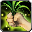 icon:Improved Gathering XP
