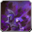 icon:Dead Spirit Protection