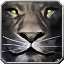 icon:Animal Spirit Eclipse